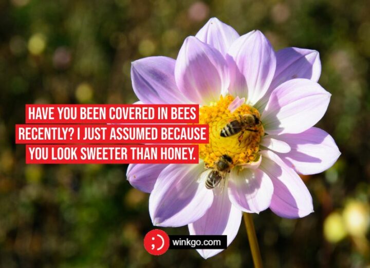 71 Tinder Pick-Up Lines - "Have you been covered in bees recently? I just assumed because you look sweeter than honey."