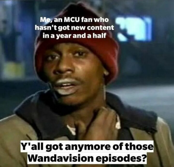 "Me, an MCU fan who hasn't got new content in a year and a half: Y'all got any more of those WandaVision episodes?"