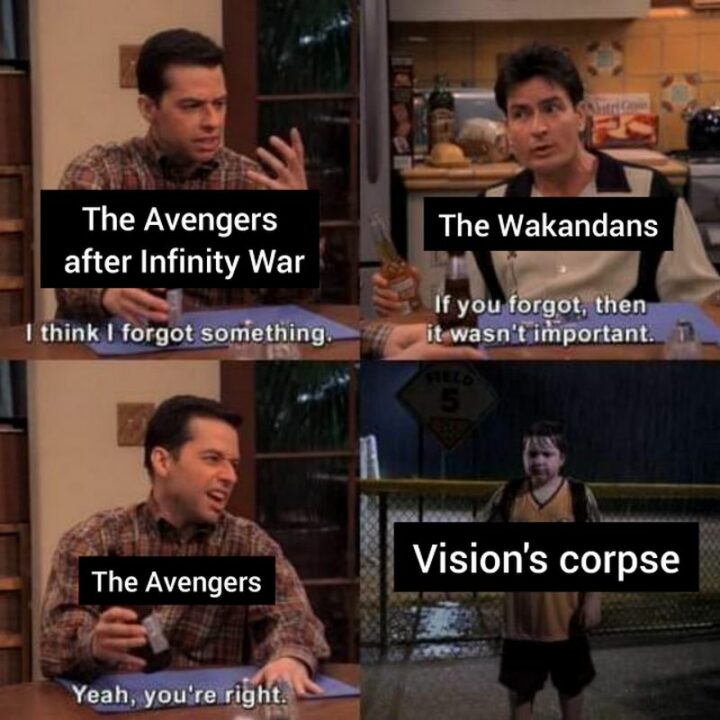 "The Avengers after Infinity War: I think I forgot something. The Wakandans: If you forgot, then it wasn't important. The Avengers: Yeah, you're right. Vision's corpse."