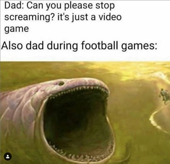 35 Gaming Memes - "Dad: Can you please stop screaming? It's just a video game. Also dad during football games:"
