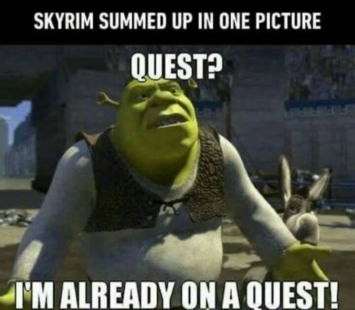 "Skyrim summed up in one picture: Quest? I'm already on a quest!"