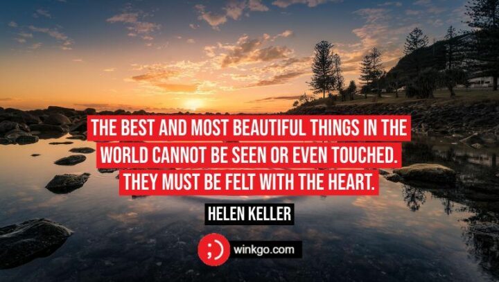 "The best and most beautiful things in the world cannot be seen or even touched. They must be felt with the heart." - Helen Keller