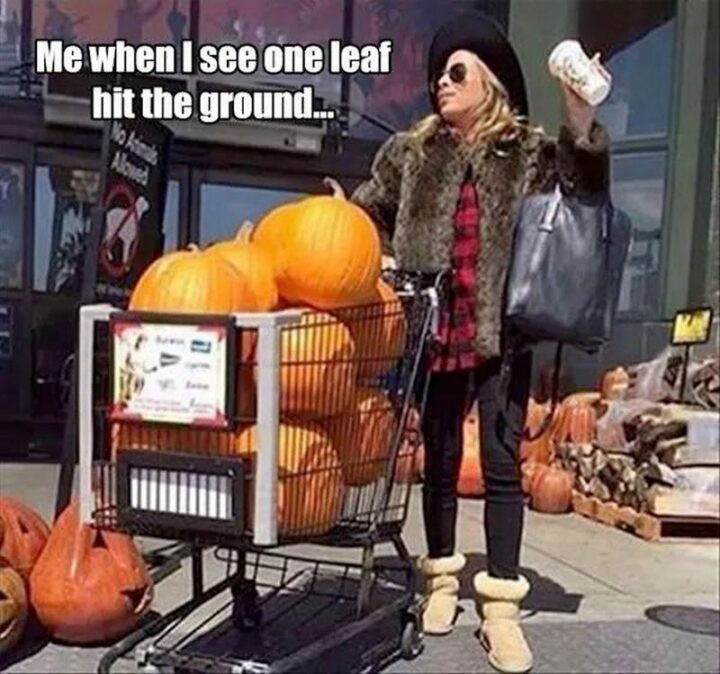 45 Fall Memes - "Me when I see one leaf hit the ground."