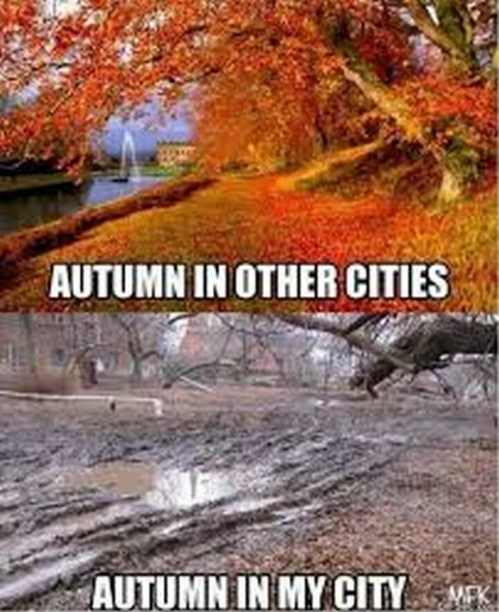45 Fall Memes - "Autumn in other cities vs autumn in my city."