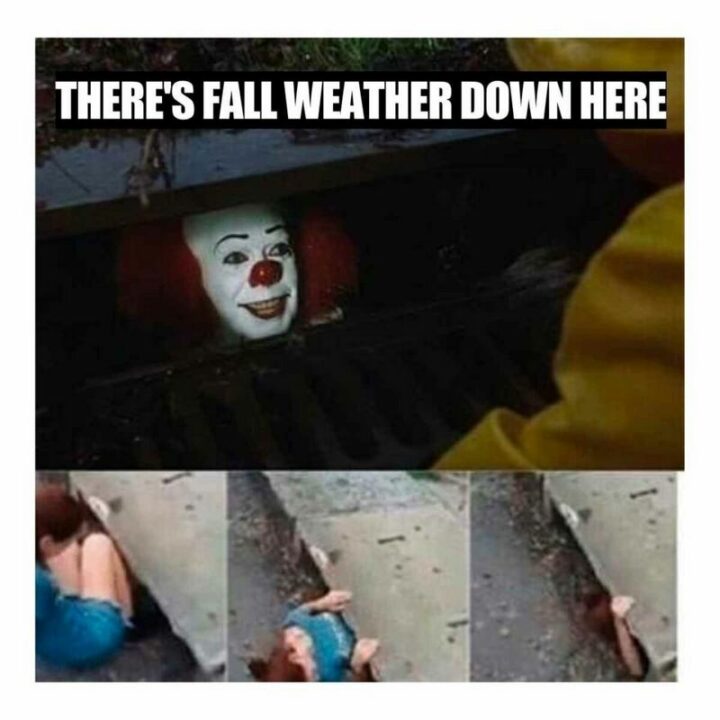 45 Fall Memes - "There's fall weather down here."
