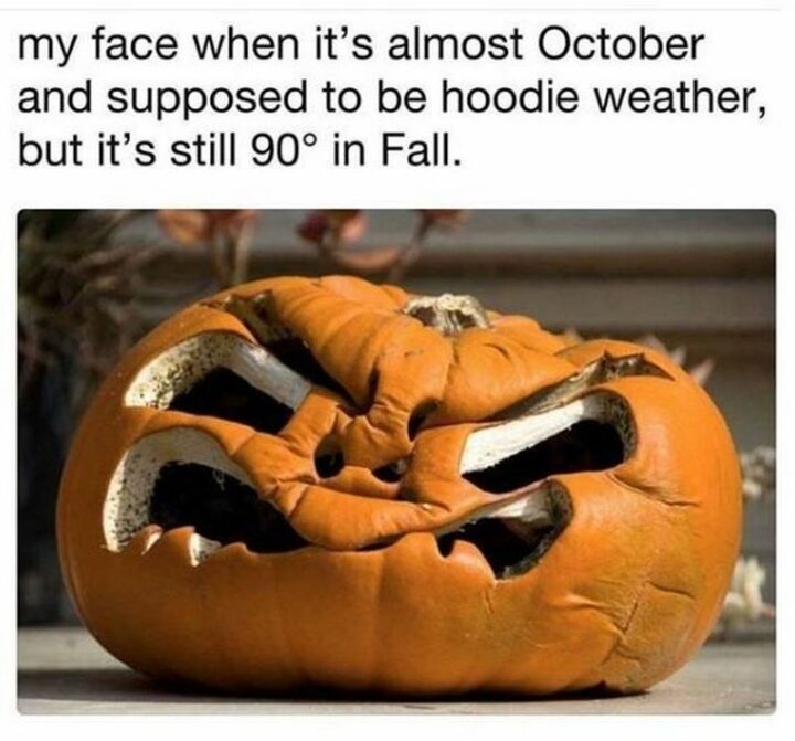 "My face when it's almost October and supposed to be hoodie weather, but it's still 90 degrees in fall."