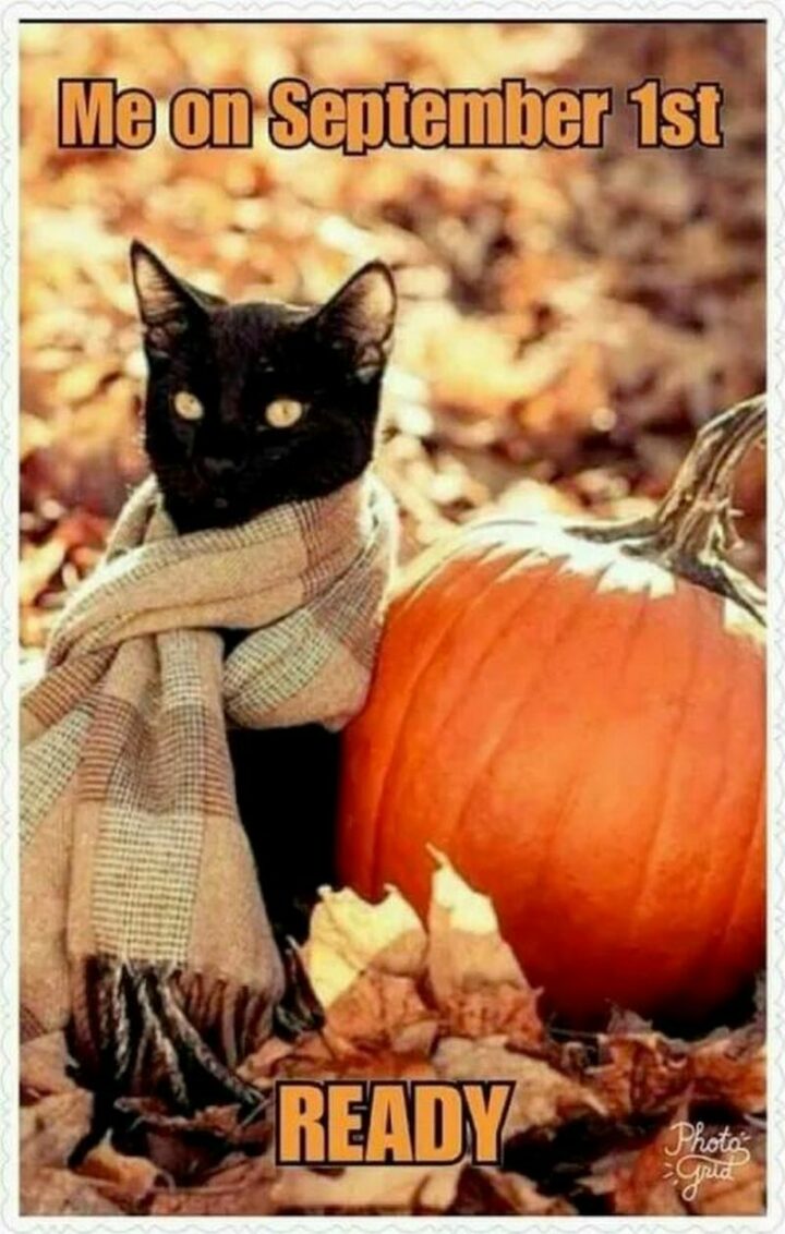 "Me on September 1st. Ready."