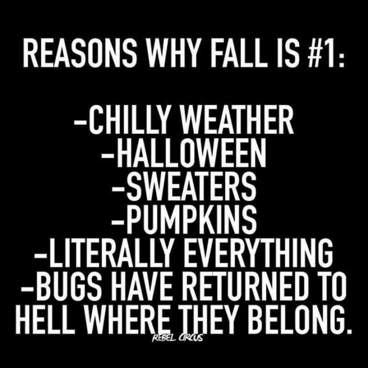 "Reasons why fall is #1: Chilly weather, Halloween, sweaters, pumpkins, literally everything, bugs have returned to hell where they belong."