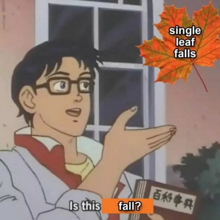 "Single leaf falls. Is this fall?"