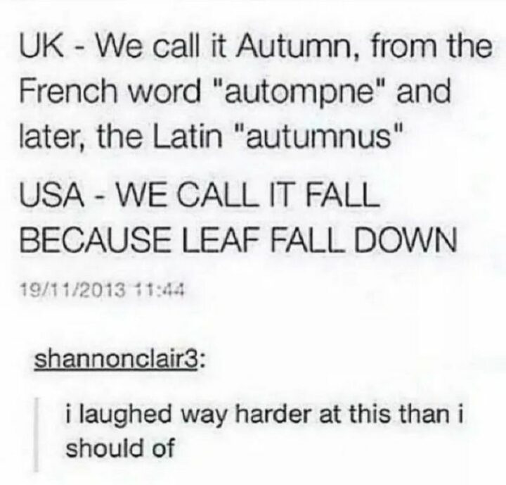 "UK - We call it autumn, from the french word 'autompne' and later, the Latin 'autumnus.' USA - We call it fall because leaves fall down. I laughed way harder at this than I should of." 