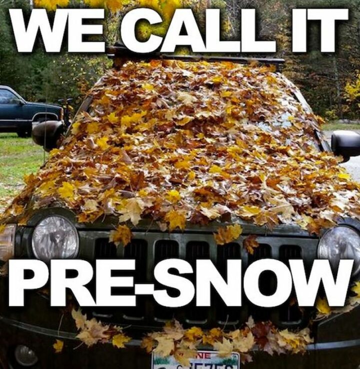 "We call it pre-snow."