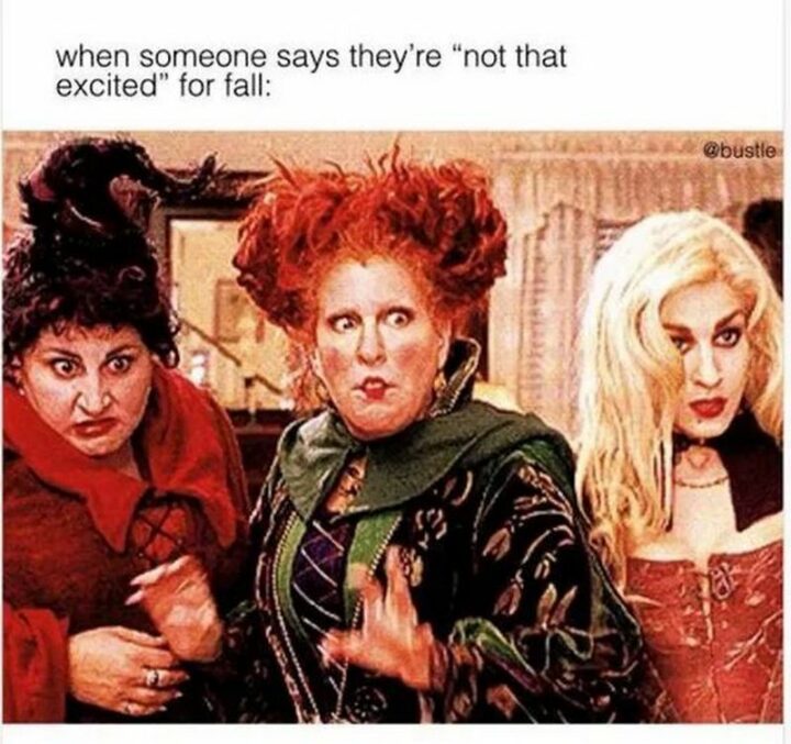 "When someone says they're 'not that excited' for fall:"