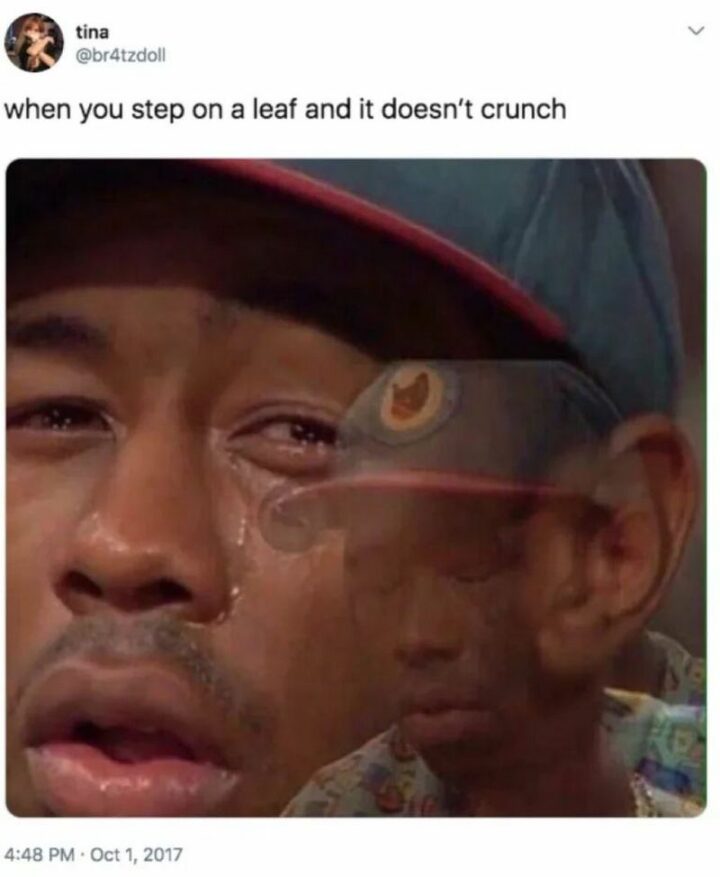 "When you step on a leaf and it doesn't crunch."