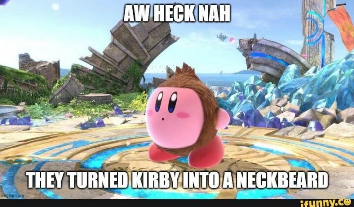 "Aw heck Nah. They turned Kirby into a neckbeard."