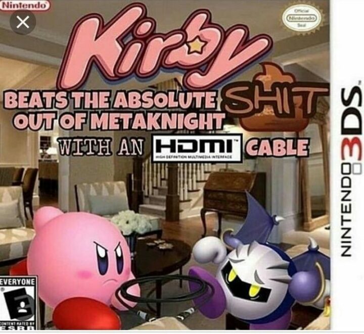 "Kirby beats the absolute [censored] out of Meta Knight with an HDMI cable."