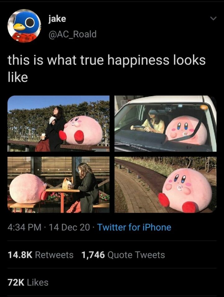 "This is what true happiness looks like."
