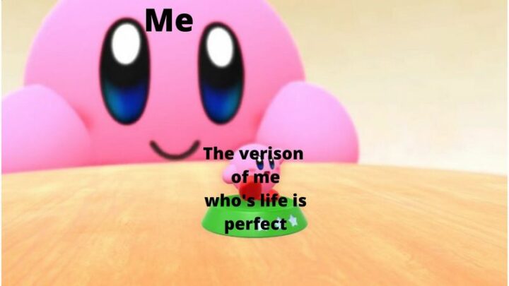 Me. The version of me whose life is perfect."