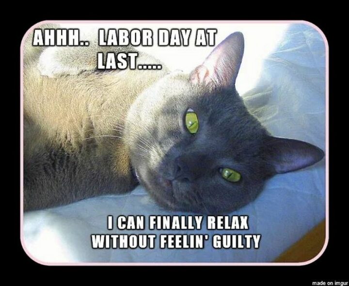 "Ahhh...Labor Day at last...I can finally relax without feelin' guilty."
