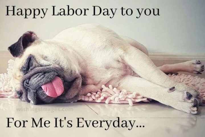 "Happy Labor Day to you. For me, it's every day..."