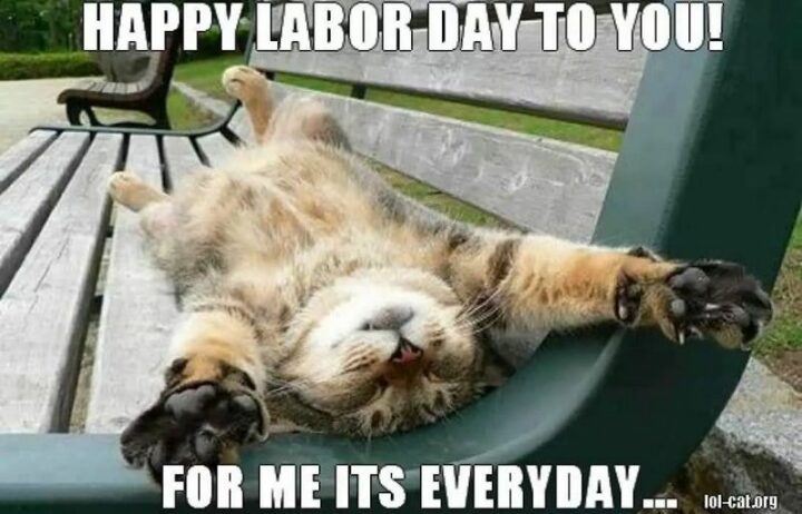 "Happy Labor Day to you! For me, it's every day..."