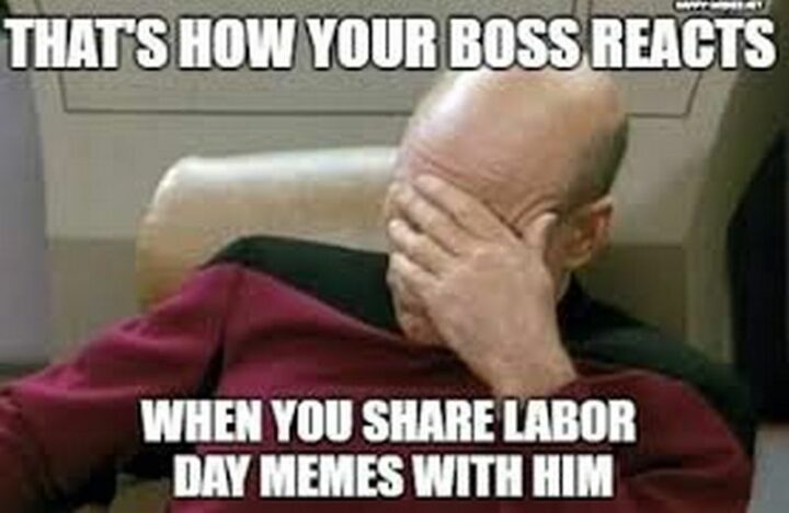 "That's how your boss reacts when you share Labor day memes with him."