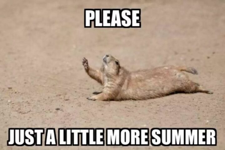 "Please just a little more summer."