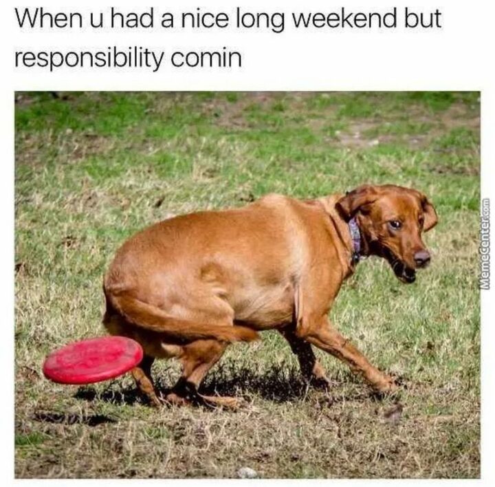 "When u had a nice long weekend but responsibility coming."