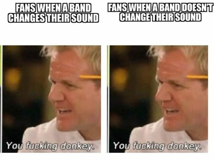 39 Music Memes - "Fans when a band changes their sound: You [censored] donkey. Fans when a band doesn't change their sound: You [censored] donkey."