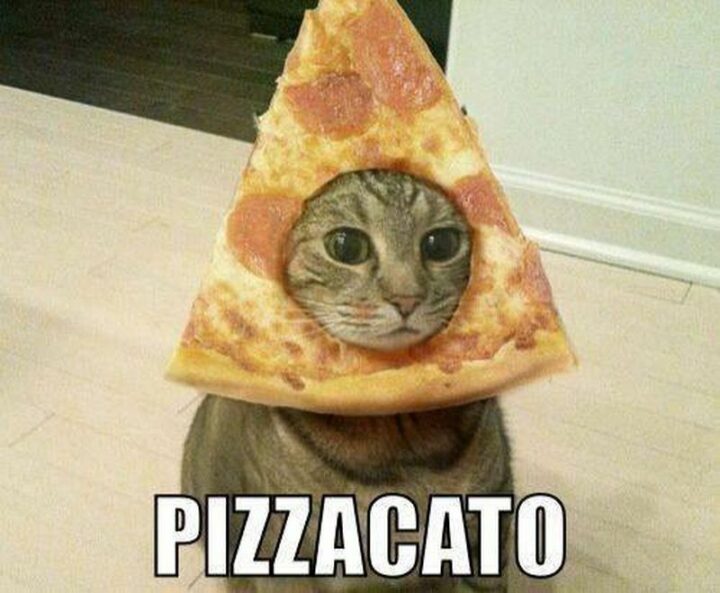 "Pizzacato."