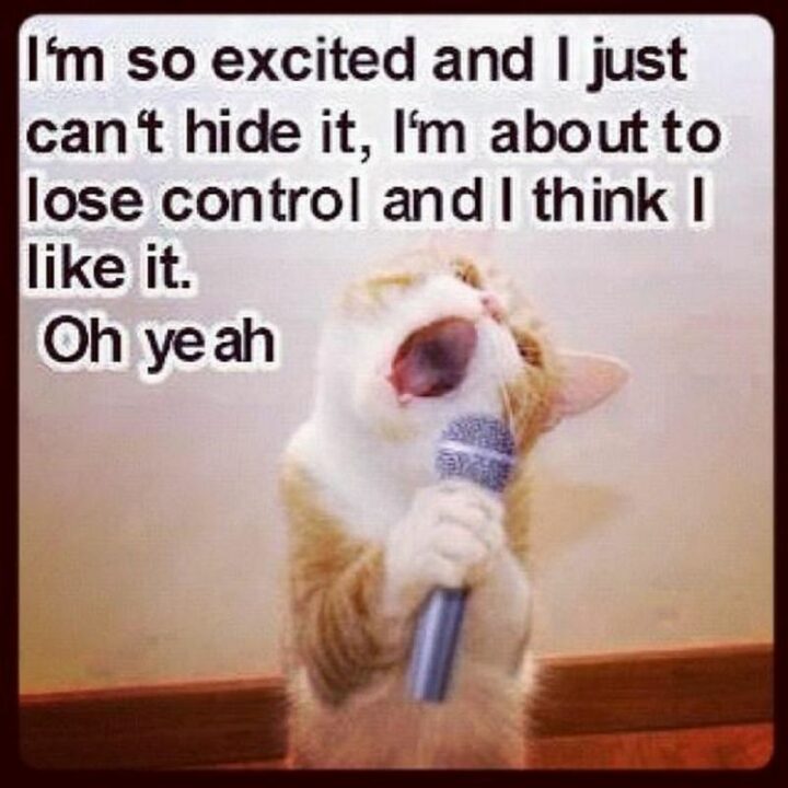 "I'm so excited and I just can't hide, I'm about to lose control and I think I like it. Oh yeah."