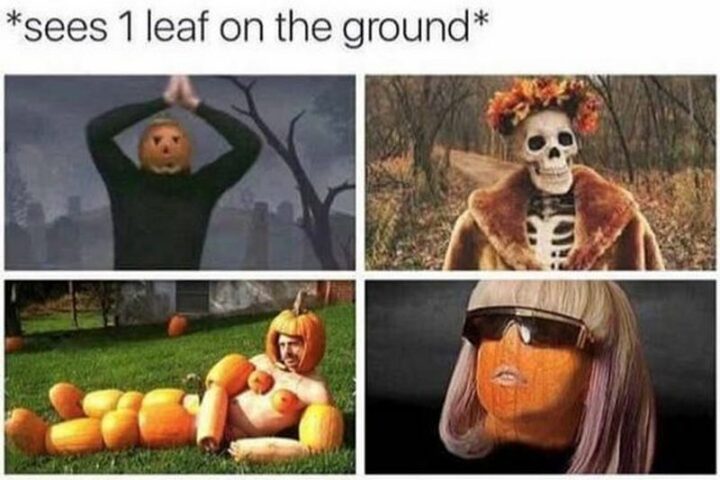 "*sees 1 leaf on the ground*"