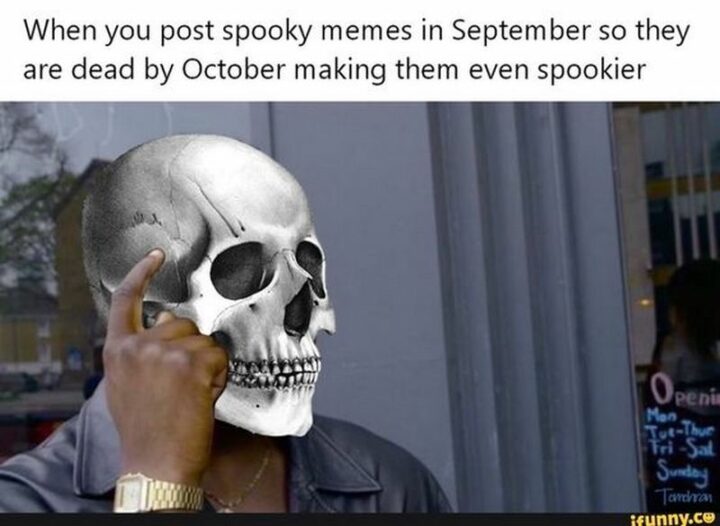 "When you post spooky memes in September so they are dead by October making them even spookier."