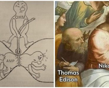 31 Funny Science Memes Based on Facts