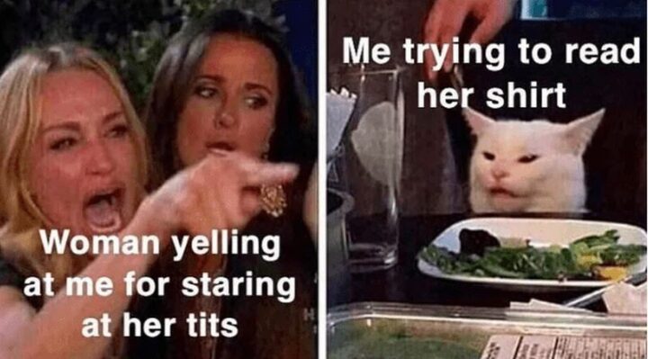 37 Woman Yelling at a Cat Memes - "Woman yelling at me for staring at her [censored]. Me trying to read her shirt."