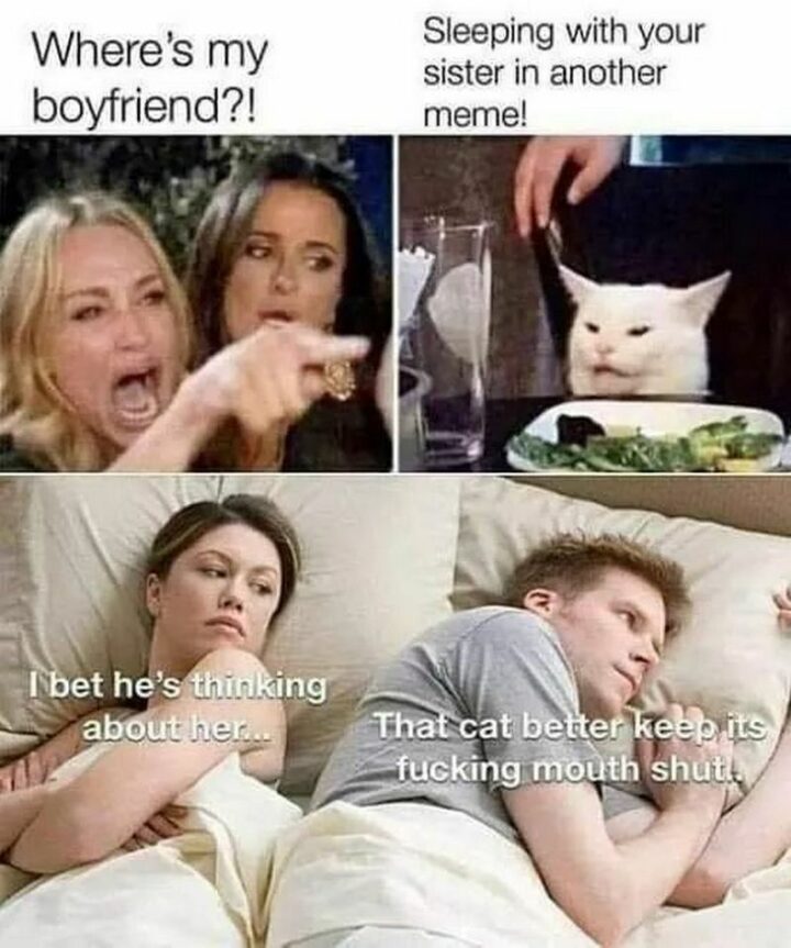 37 Woman Yelling at a Cat Memes - "Where's my boyfriend?! Sleeping with your sister in another meme! I bet he's thinking about her...That cat better keep its [censored] mouth shut."