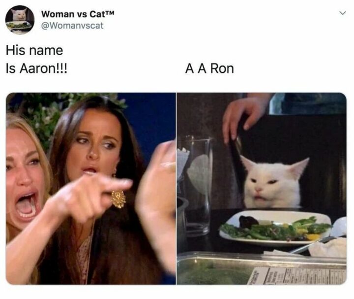 37 Woman Yelling at a Cat Memes - "His name is Aaron!!! A A Ron."