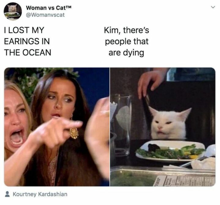 37 Woman Yelling at a Cat Memes - "I lost my earrings in the ocean. Kim, there's people that are dying."