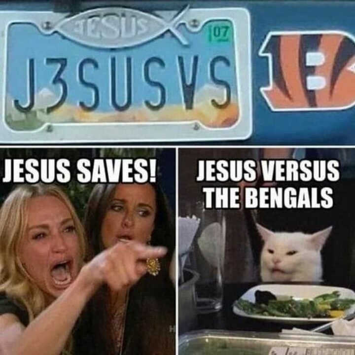 37 Woman Yelling at a Cat Memes - "Jesus saves! Jesus versus the Bengals."