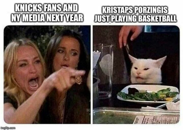 37 Woman Yelling at a Cat Memes - "Knicks fans and NY media next year. Kristaps Porzingis just playing basketball."