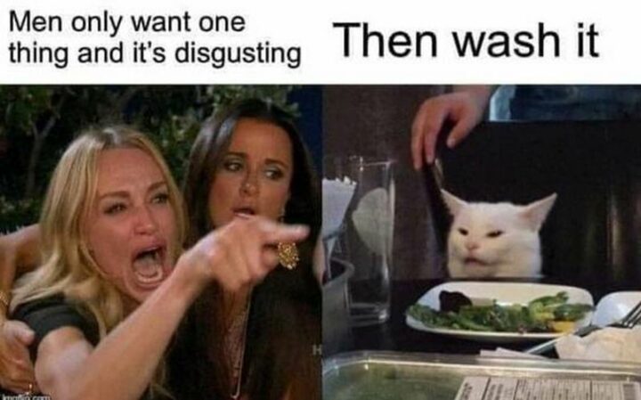37 Woman Yelling at a Cat Memes - "Men only want one thing and it's disgusting. Then wash it."