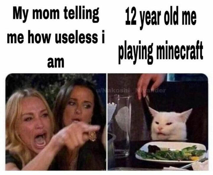 37 Woman Yelling at a Cat Memes - "My mom telling me how useless I am. 12-year-old me playing Minecraft."
