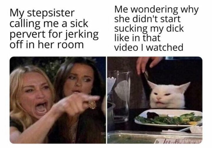 37 Woman Yelling at a Cat Memes - "My stepsister calling me a sick pervert for [censored] off in her room. Me wondering why she didn't start sucking my [censored] like in that video I watched."
