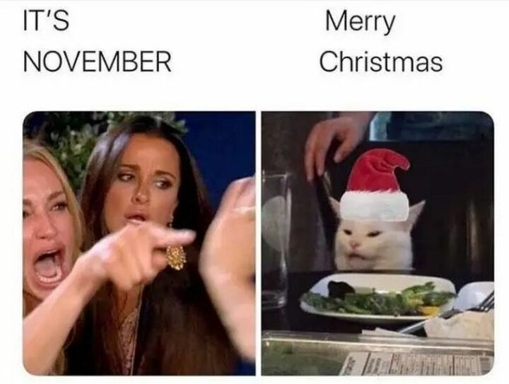 37 Woman Yelling at a Cat Memes - "It's November. Merry Christmas."
