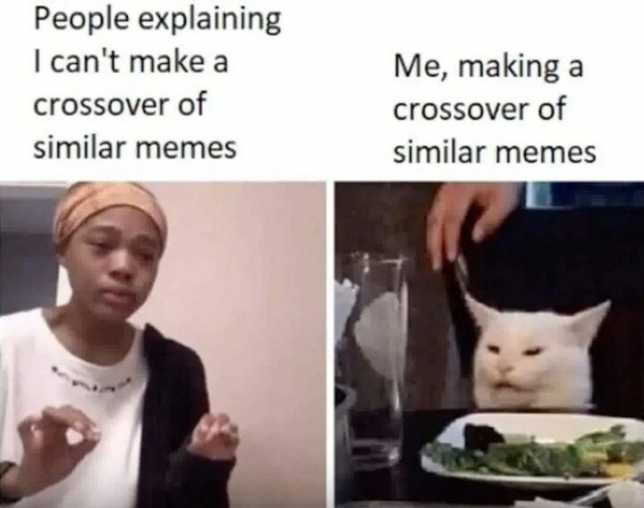 "People explaining I can't make a crossover of similar memes. Me, making a crossover of similar memes."