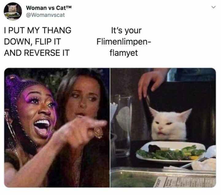 "I put my thang down, flip it and reverse it. It's your flimenlimpen-flamyet."