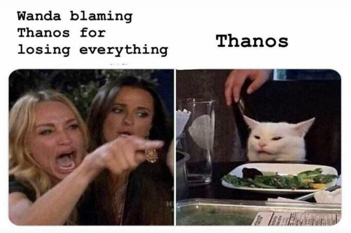Wanda blames Thanos for losing everything. Thanos."