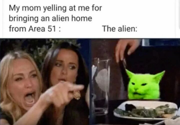 "My mom yelling at me for bringing an alien home from Area 51. The alien."