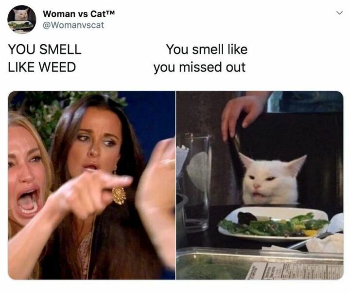 "YOU SMELL LIKE WEED. You smell like you missed out."