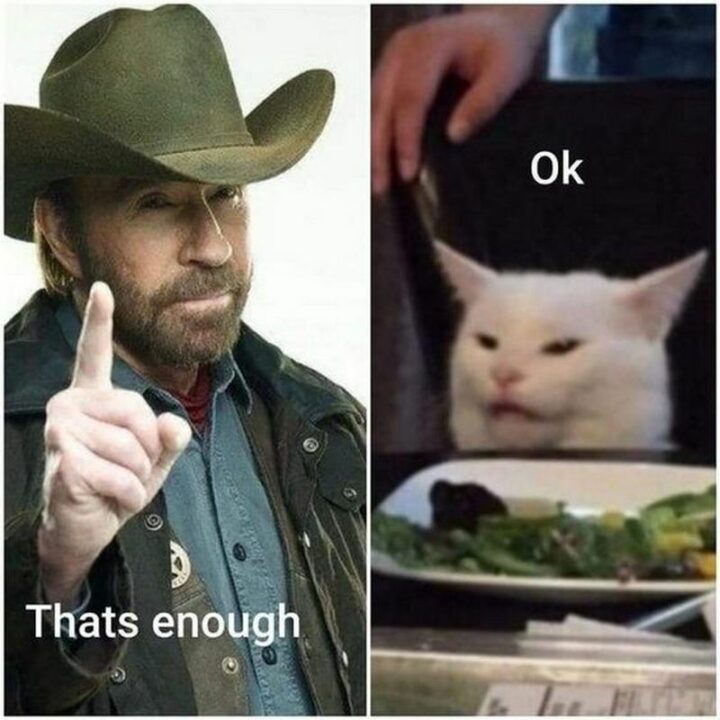 "That's enough. Ok."