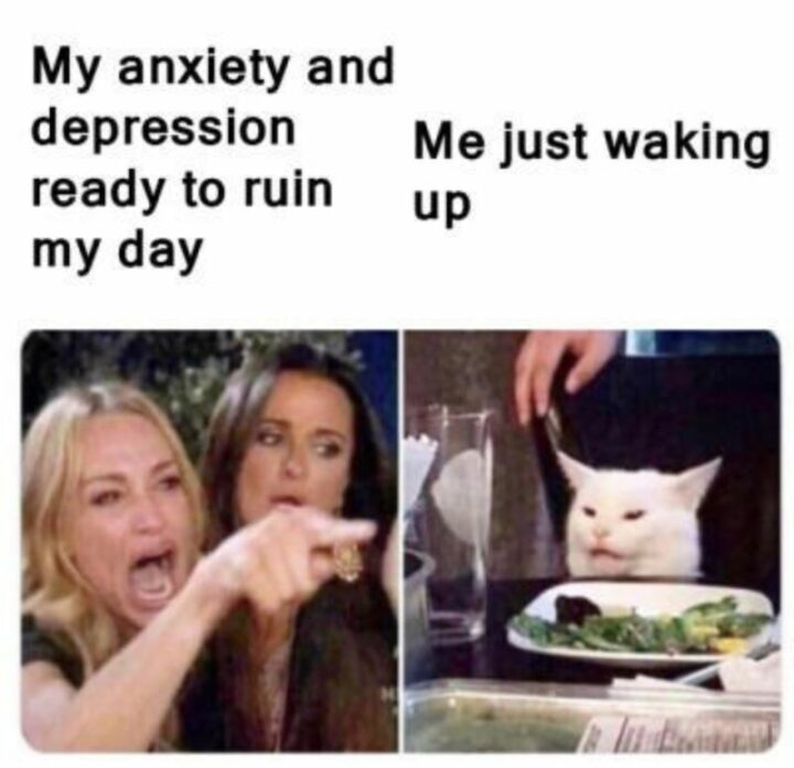 37 Woman Yelling at a Cat Memes - "My anxiety and depression are ready to ruin my day. Me just waking up."